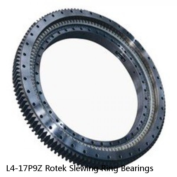 L4-17P9Z Rotek Slewing Ring Bearings #1 small image