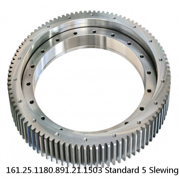 161.25.1180.891.21.1503 Standard 5 Slewing Ring Bearings #1 small image