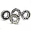 1.181 Inch | 30 Millimeter x 2.165 Inch | 55 Millimeter x 0.748 Inch | 19 Millimeter  SKF NN 3006/SP  Cylindrical Roller Bearings #2 small image