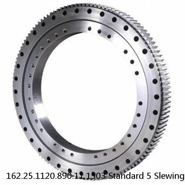162.25.1120.890.11.1503 Standard 5 Slewing Ring Bearings #1 small image