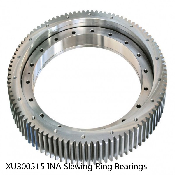 XU300515 INA Slewing Ring Bearings #1 small image