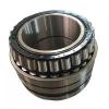 105 mm x 190 mm x 36 mm  FAG NU221-E-TVP2  Cylindrical Roller Bearings #1 small image
