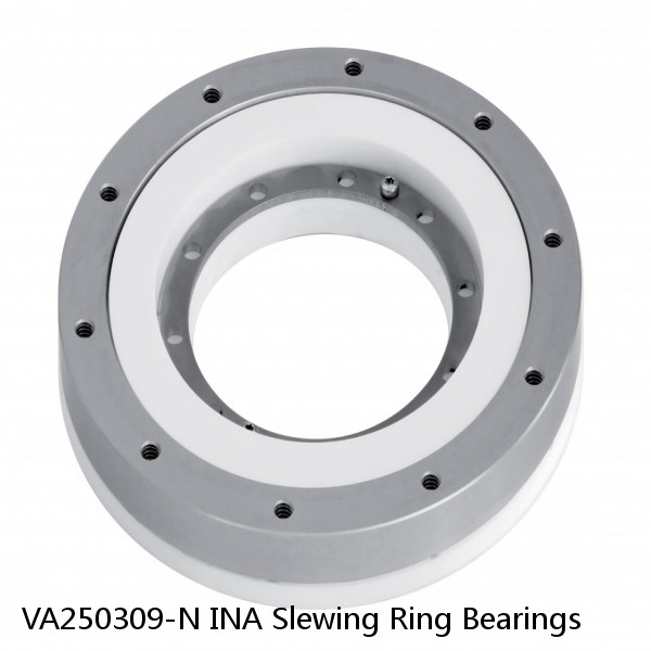VA250309-N INA Slewing Ring Bearings
