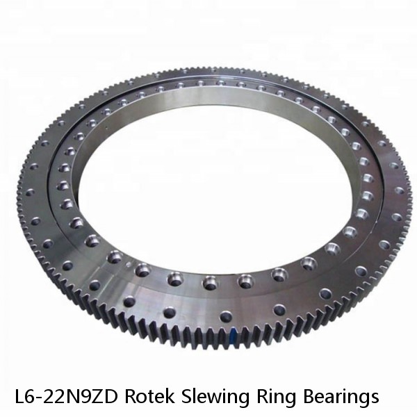 L6-22N9ZD Rotek Slewing Ring Bearings #1 small image
