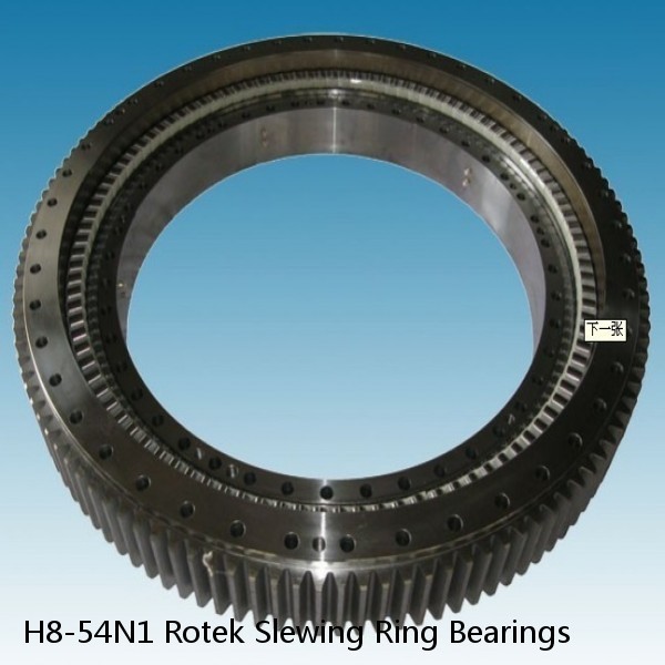 H8-54N1 Rotek Slewing Ring Bearings #1 small image