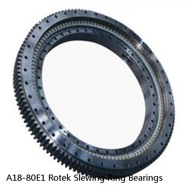 A18-80E1 Rotek Slewing Ring Bearings #1 small image