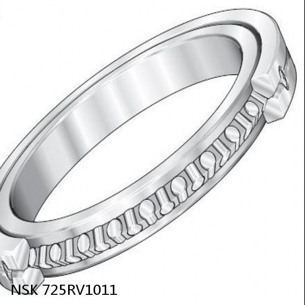 725RV1011 NSK Four-Row Cylindrical Roller Bearing