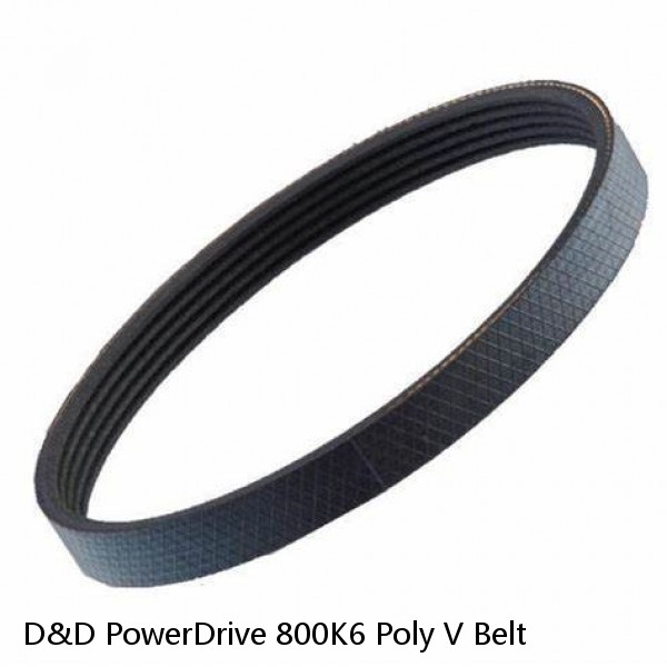 D&D PowerDrive 800K6 Poly V Belt #1 small image