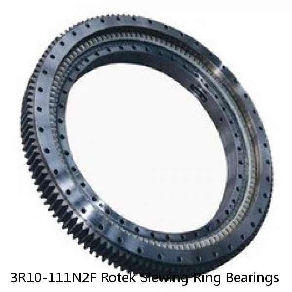 3R10-111N2F Rotek Slewing Ring Bearings #1 image