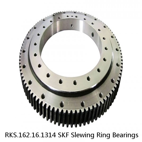 RKS.162.16.1314 SKF Slewing Ring Bearings #1 image