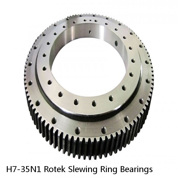 H7-35N1 Rotek Slewing Ring Bearings #1 image