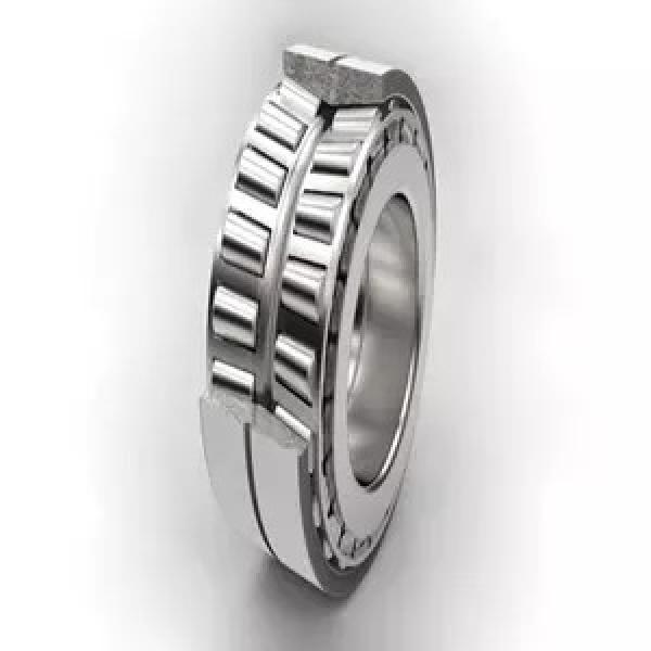1.378 Inch | 35 Millimeter x 3.15 Inch | 80 Millimeter x 1.22 Inch | 31 Millimeter  INA SL192307  Cylindrical Roller Bearings #1 image