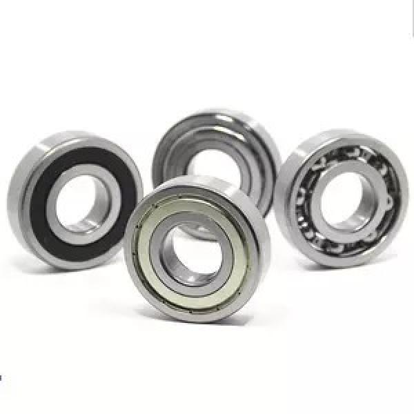 FAG NU419-F-C4  Cylindrical Roller Bearings #1 image
