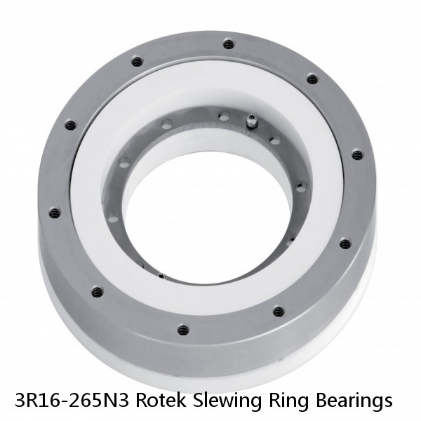 3R16-265N3 Rotek Slewing Ring Bearings #1 image