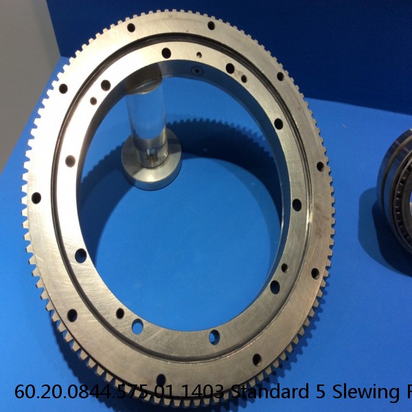 60.20.0844.575.01.1403 Standard 5 Slewing Ring Bearings #1 image