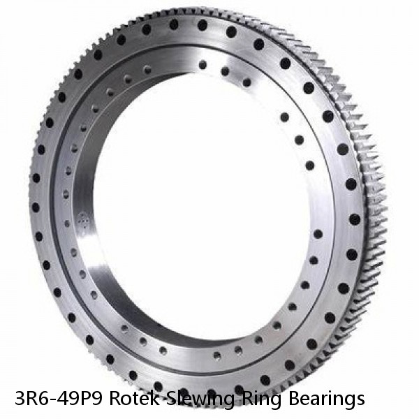 3R6-49P9 Rotek Slewing Ring Bearings #1 image