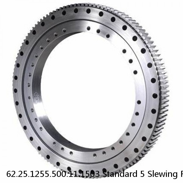 62.25.1255.500.11.1503 Standard 5 Slewing Ring Bearings #1 image