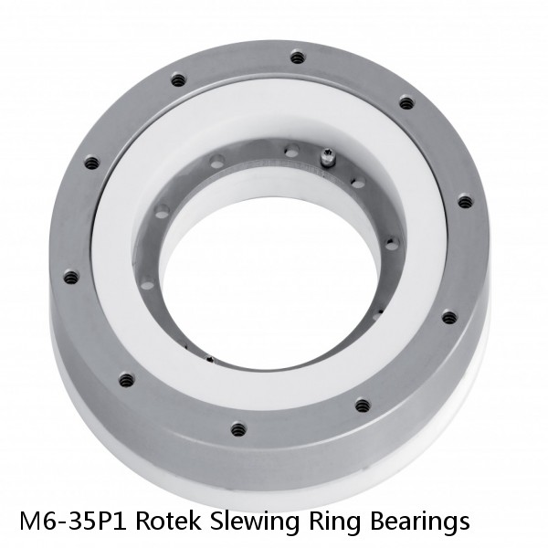 M6-35P1 Rotek Slewing Ring Bearings #1 image