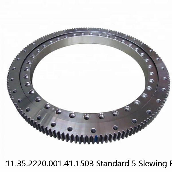 11.35.2220.001.41.1503 Standard 5 Slewing Ring Bearings #1 image