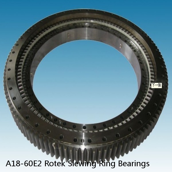 A18-60E2 Rotek Slewing Ring Bearings #1 image