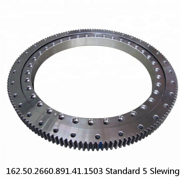 162.50.2660.891.41.1503 Standard 5 Slewing Ring Bearings #1 image