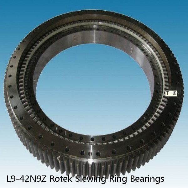 L9-42N9Z Rotek Slewing Ring Bearings #1 image