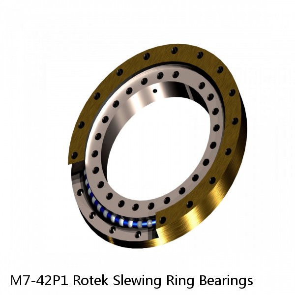 M7-42P1 Rotek Slewing Ring Bearings #1 image