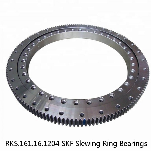 RKS.161.16.1204 SKF Slewing Ring Bearings #1 image