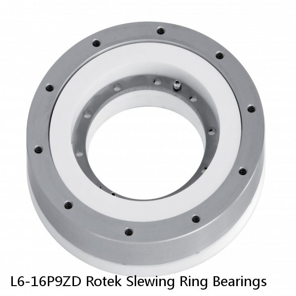 L6-16P9ZD Rotek Slewing Ring Bearings #1 image
