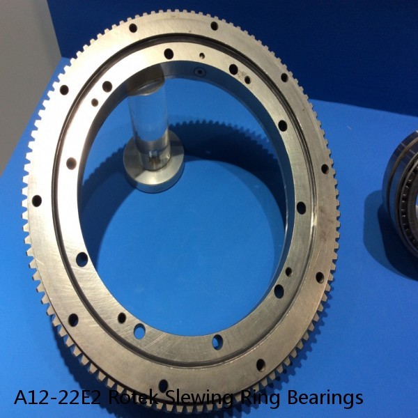 A12-22E2 Rotek Slewing Ring Bearings #1 image