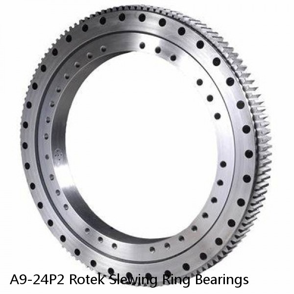 A9-24P2 Rotek Slewing Ring Bearings #1 image