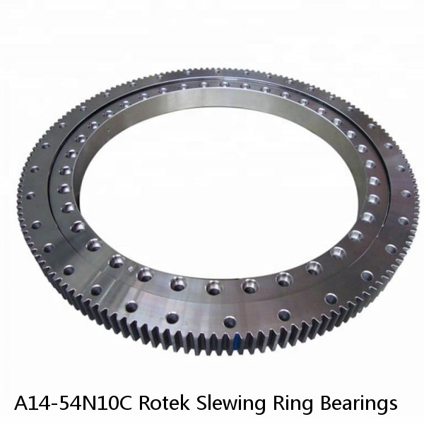 A14-54N10C Rotek Slewing Ring Bearings #1 image