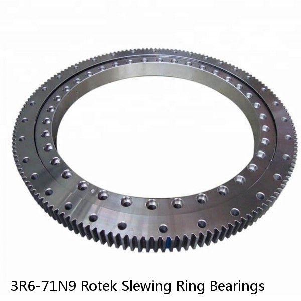 3R6-71N9 Rotek Slewing Ring Bearings #1 image