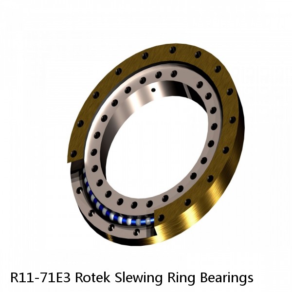 R11-71E3 Rotek Slewing Ring Bearings #1 image