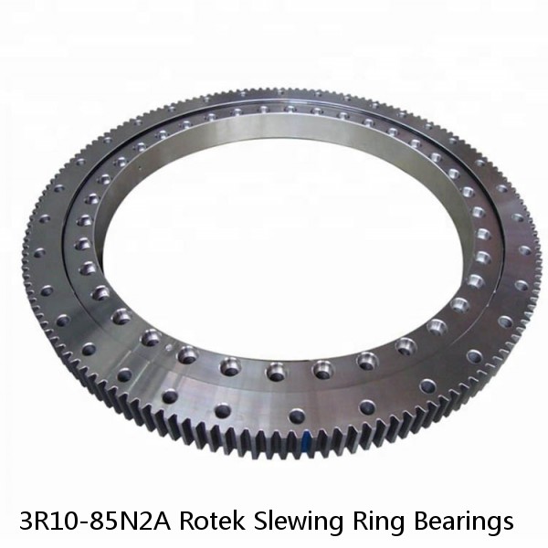 3R10-85N2A Rotek Slewing Ring Bearings #1 image