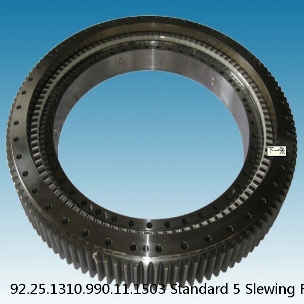 92.25.1310.990.11.1503 Standard 5 Slewing Ring Bearings #1 image