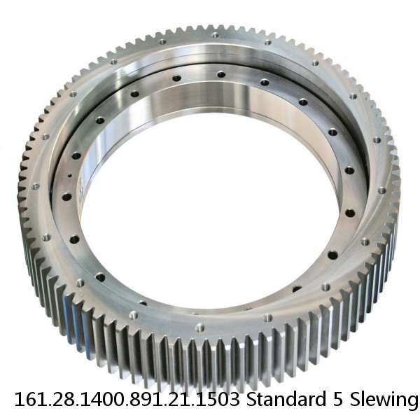 161.28.1400.891.21.1503 Standard 5 Slewing Ring Bearings #1 image