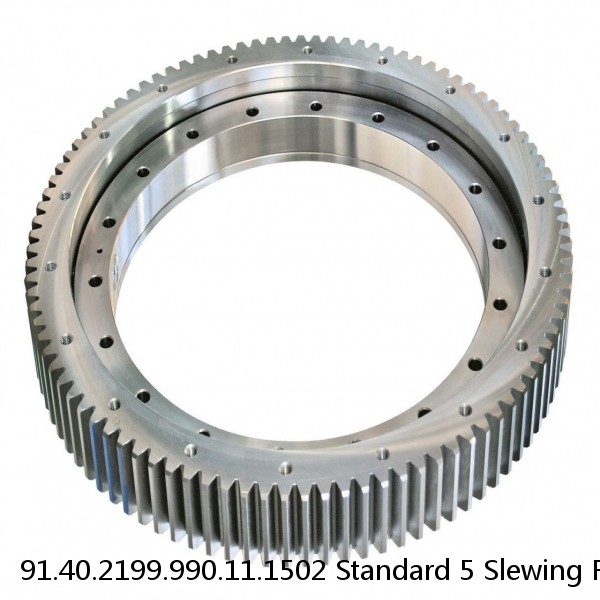 91.40.2199.990.11.1502 Standard 5 Slewing Ring Bearings #1 image