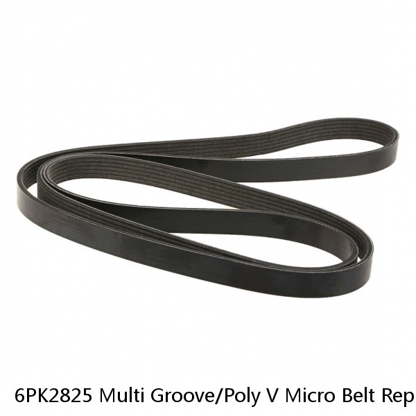 6PK2825 Multi Groove/Poly V Micro Belt Replacement V-Belt #1 image